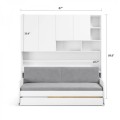 Eco Compact Twin/Twin XL Sofa Bed and Cabinets System